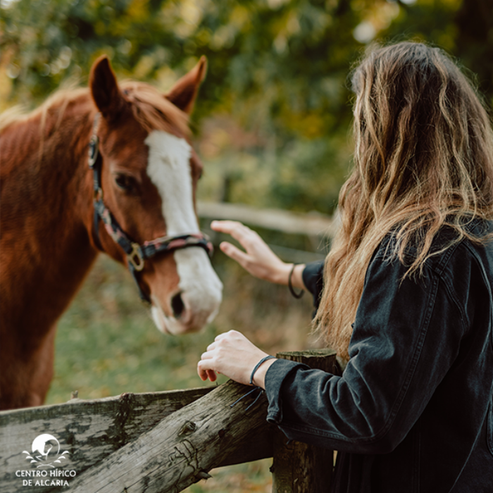 Séjour plus promenade à cheval